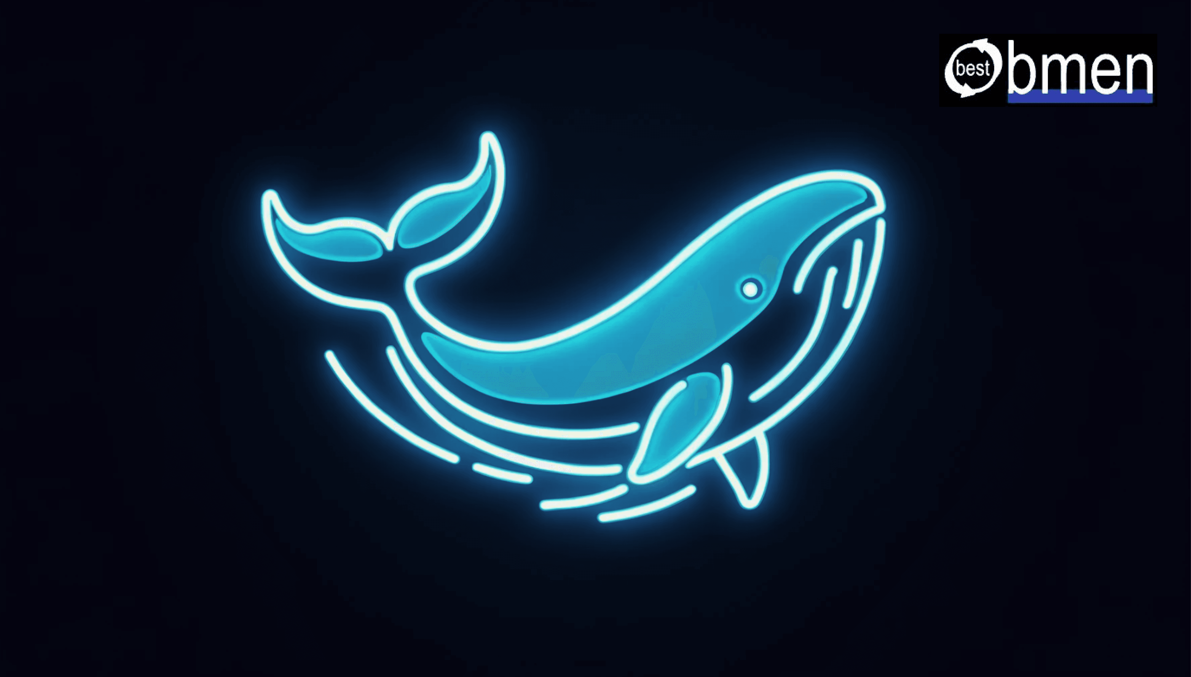 Cryptocurrency whales started actively buying BTC